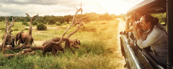 Safari en Afrique