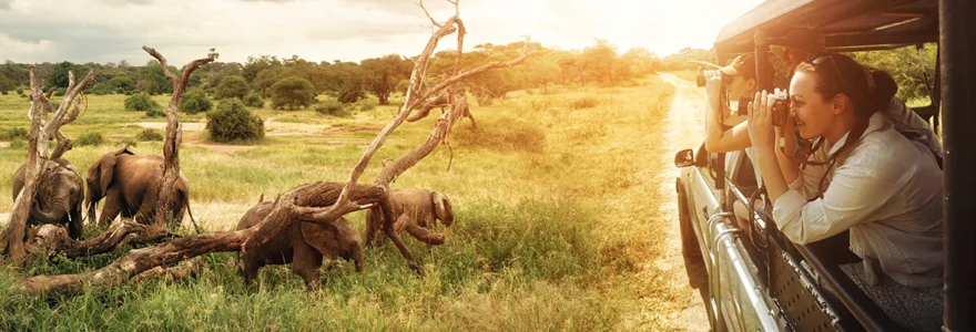 Safari en Afrique