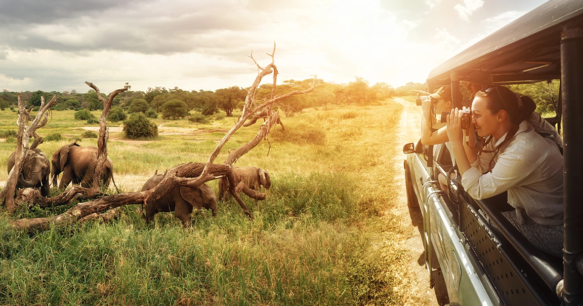 Safari en Afrique